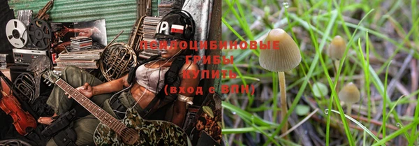 a pvp Вяземский